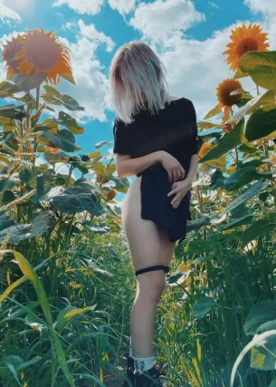 Роза - Фото 2
